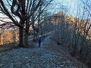 20 Nella splendida faggeta...verso il convento